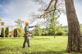 Best Hazardous Tree Removal  in Wolf Trap, VA
